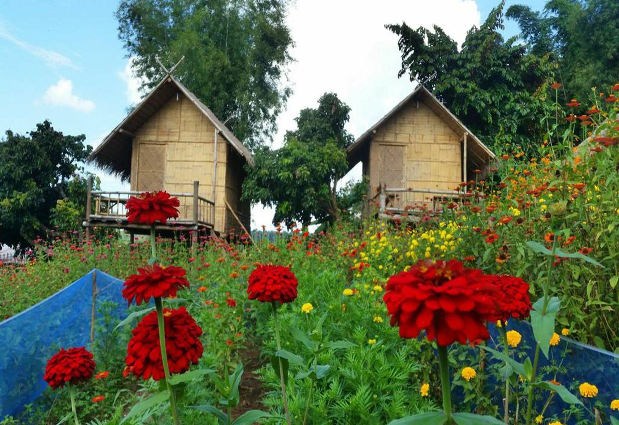Baan Aingdoi Homestay, Chiang Dao Εξωτερικό φωτογραφία
